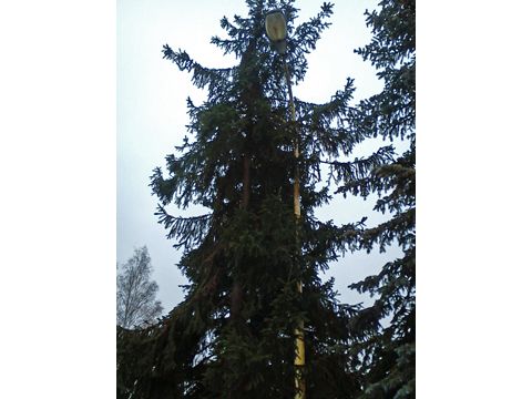 Foto 22
